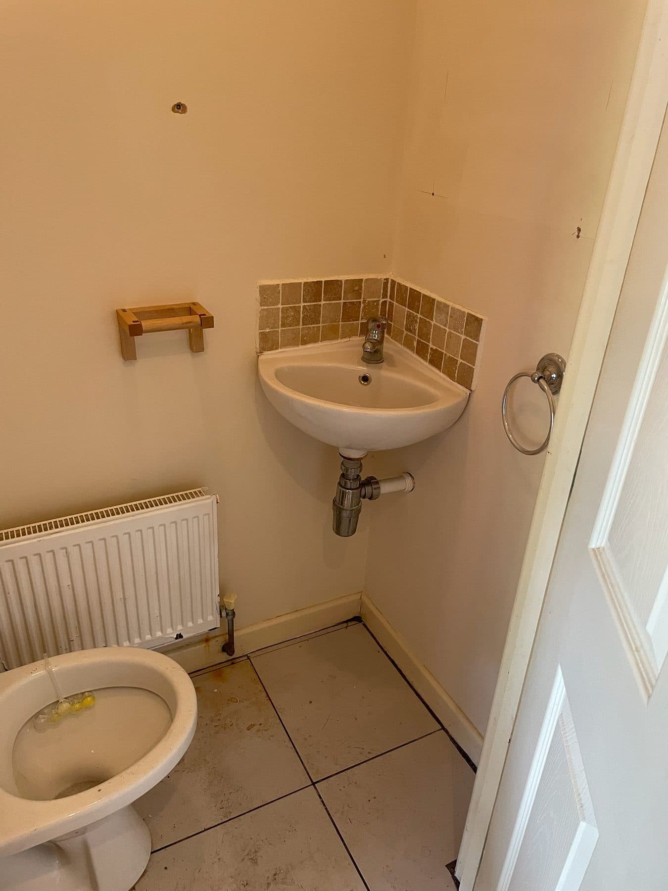 WS13 — Downstairs Cloakroom, pair before